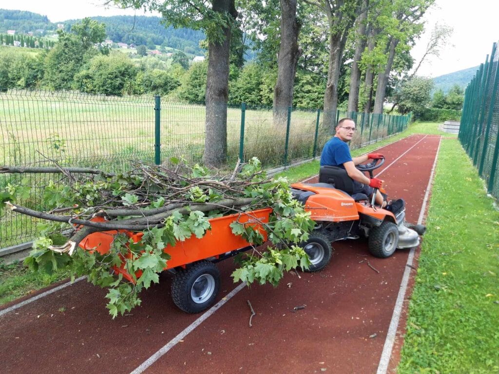 Usuwanie gałęzi drzew